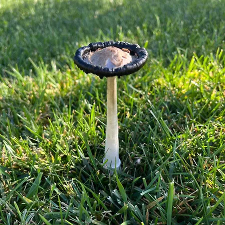 Bed and Breakfast Quinta Saleiro